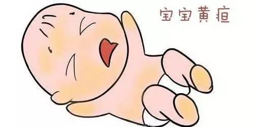 母乳分析仪品牌阐述如何判断母乳性黄疸
