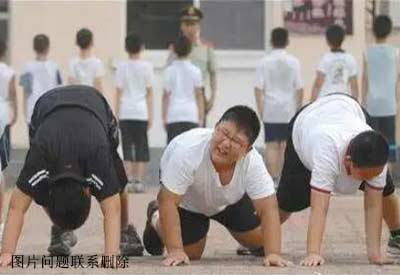 儿童膳食营养分析仪介绍现在的小孩发育的都这么好儿童肥胖在饮食生活需要注意的两点