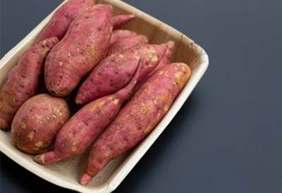 儿童膳食营养分析仪品牌分享考高进行中用眼保护很重要日常膳食调理