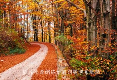 儿童膳食营养分析仪厂家介绍立秋在膳食营养搭配这方面我们如何合理配比？