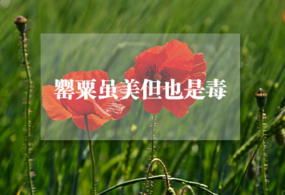 母乳分析仪品牌：快速测量母乳中微量营养含量，毒品对母乳质量影响