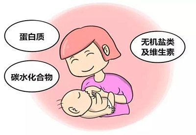 乳成分分析仪厂家介绍奶水成分都有什么