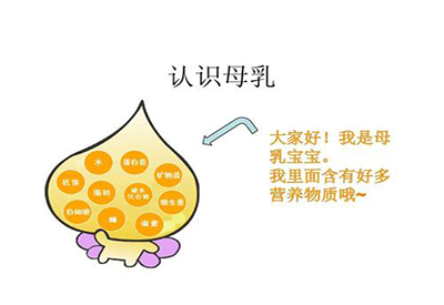  母乳营养成分分析仪检测乳质成分的意义